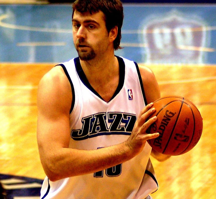 Photo de Mehmet Okur