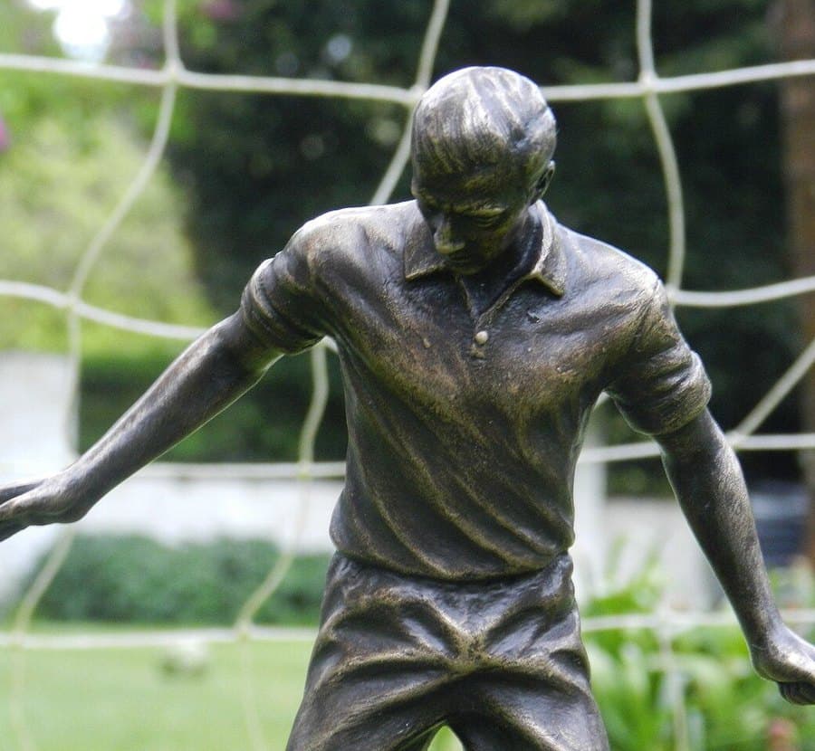Photo de Footballeur de l'année de la FWA